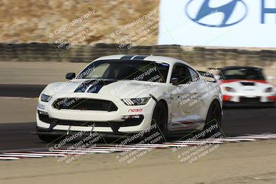 media/Aug-23-2024-Speed Ventures (Fri) [[92f1efc5e7]]/Red/Session 1 (Turn 3)/